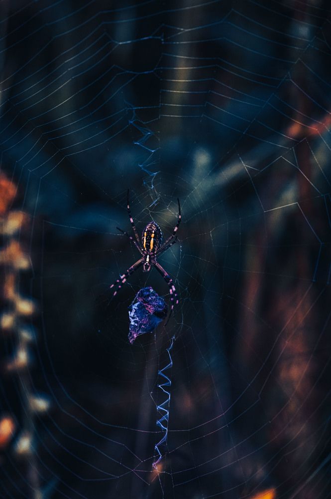 Photograph by Александр Ендин