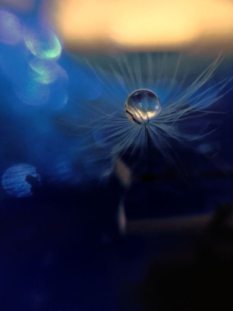 Photograph by Анна Репина