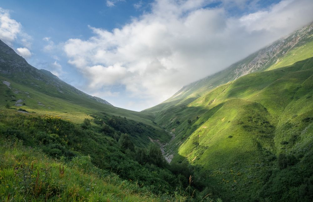 Photograph by Максим Мозжухин