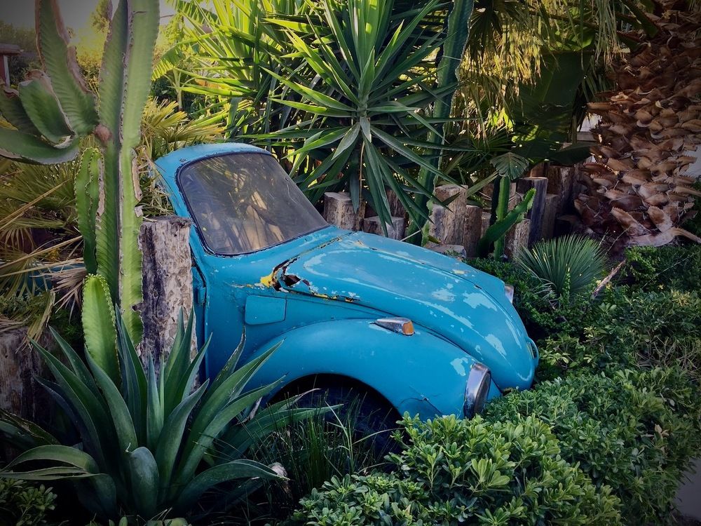 Photograph by Ahmet Aka