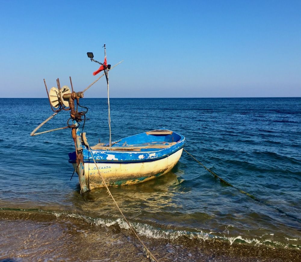 Photograph by Ahmet Aka