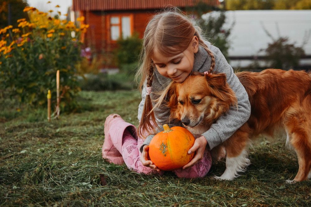 Photograph by Надежда Кузьмина