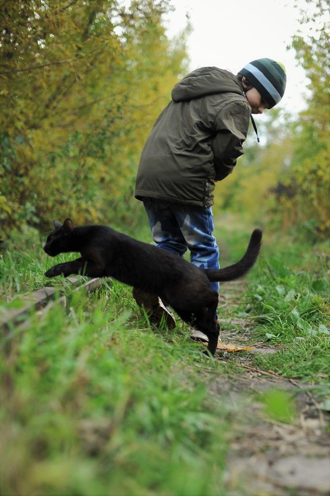 Фотография автора Ольга Пушленкова