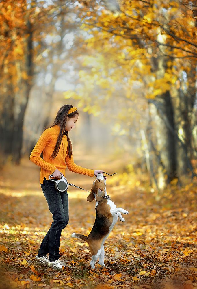 Photograph by Раевская Елена