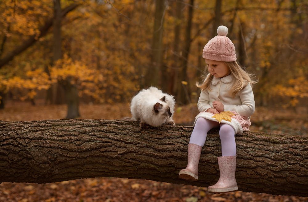 Photograph by Юлия Злотник