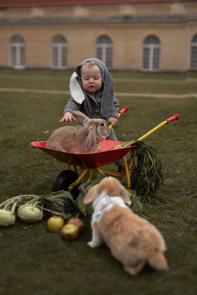 Photograph by Юлия Злотник