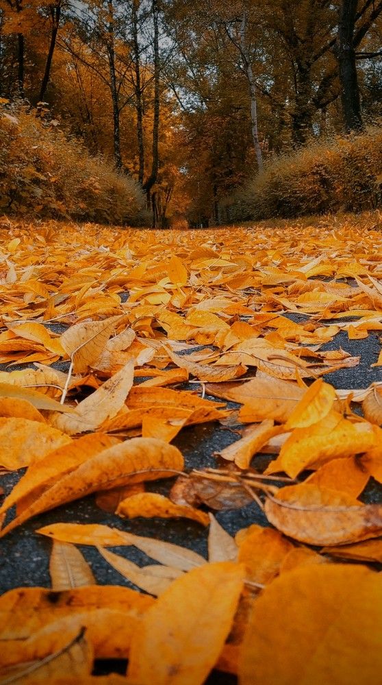 Photograph by Андрей