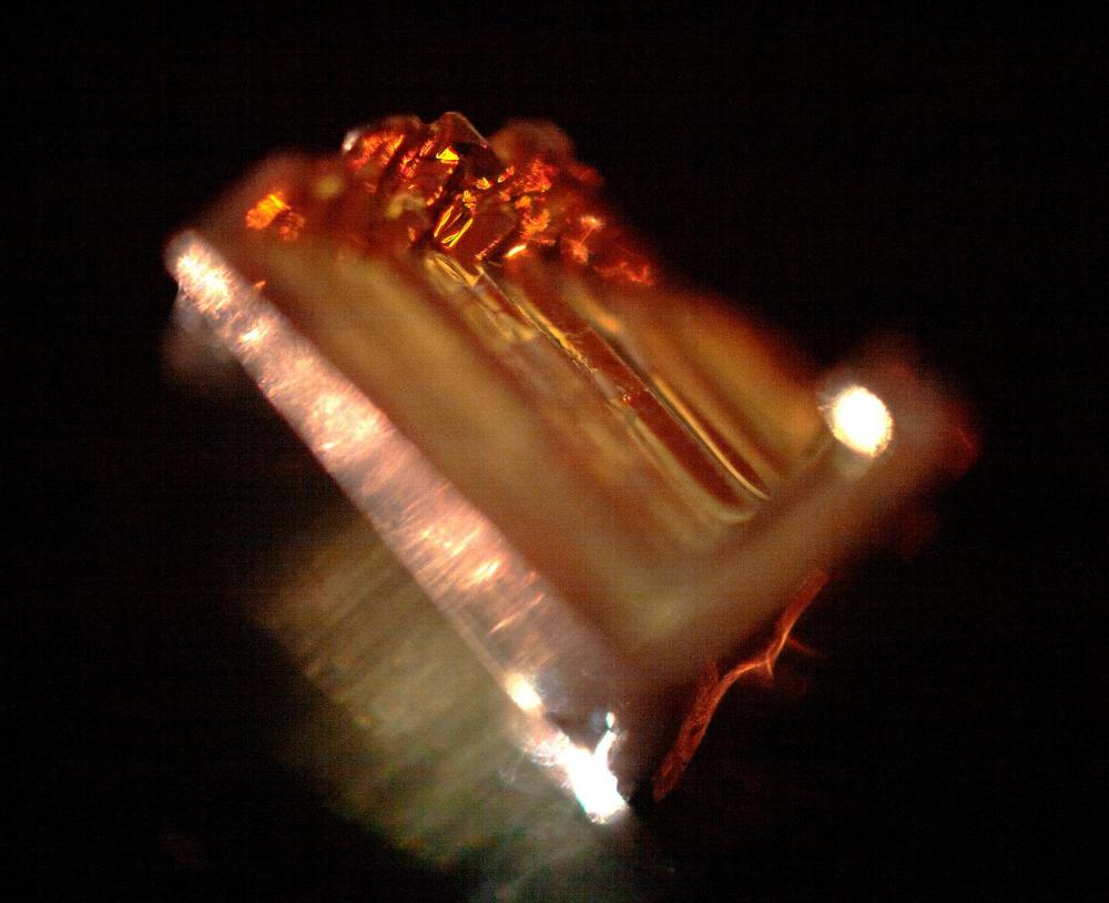 Photograph by Алексей Стрижаков