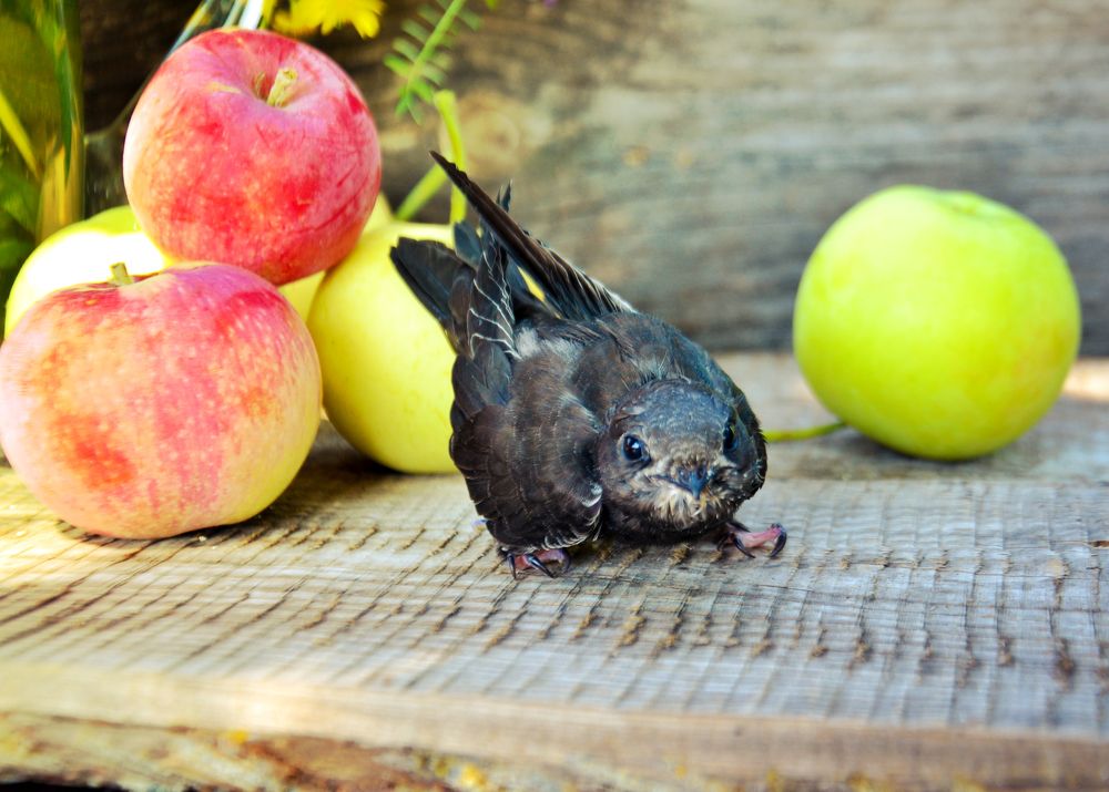 Photograph by Наталия Иванова