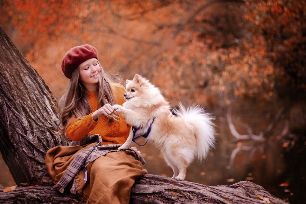 Photograph by Людмила Казак