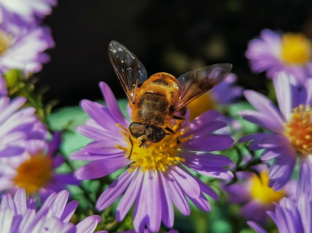 Фотография автора АЛЕКСАНДР ЦЫГЕЛЬНЮК