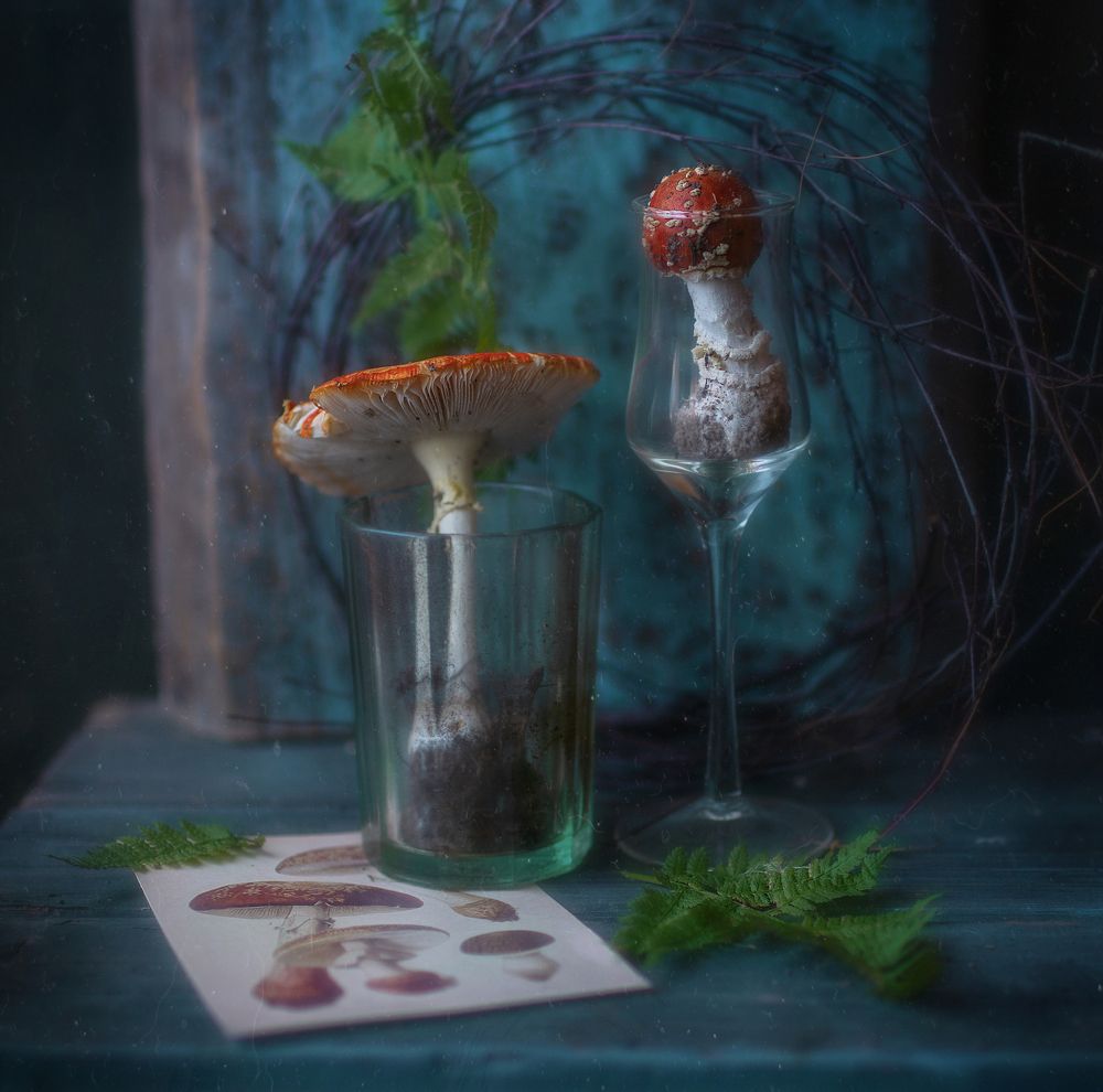 коктейль из благородных грибов*