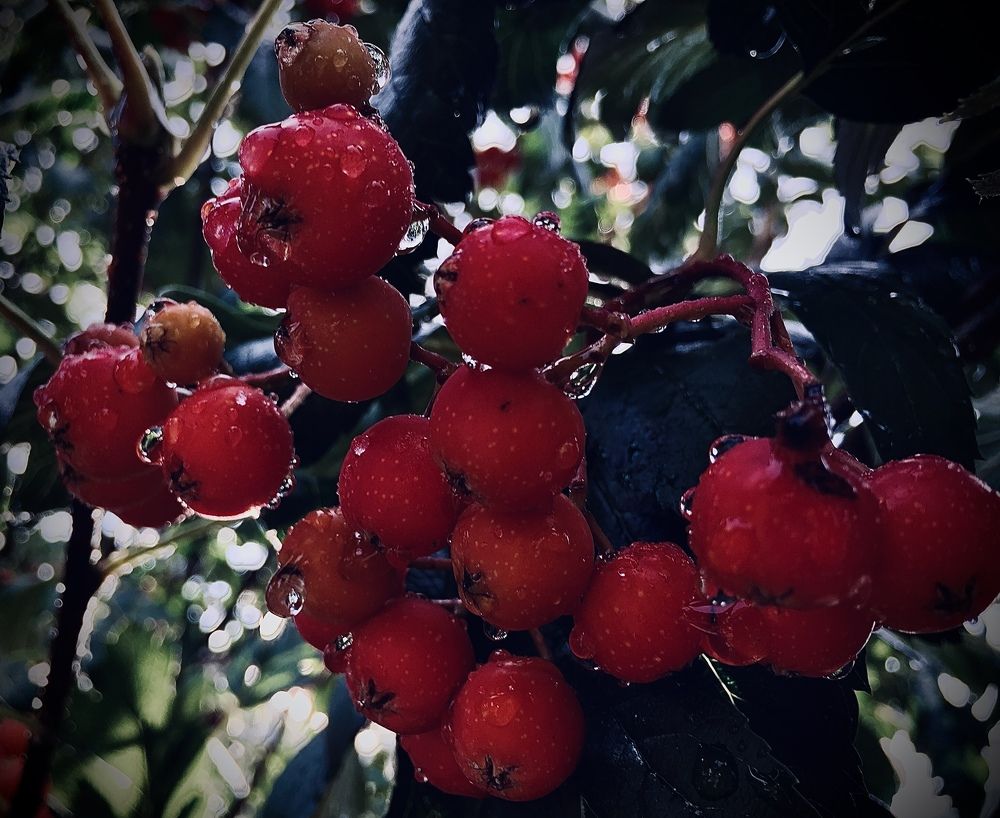 Photograph by Марина Платонова