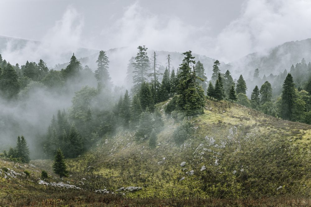 Photograph by Татьяна Сафрошкина