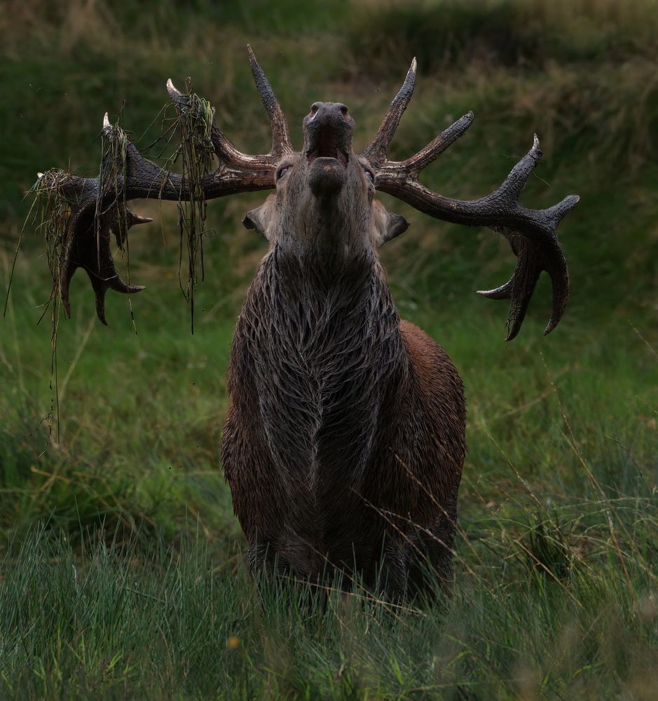 Фотография автора Jaroslaw Kowalski