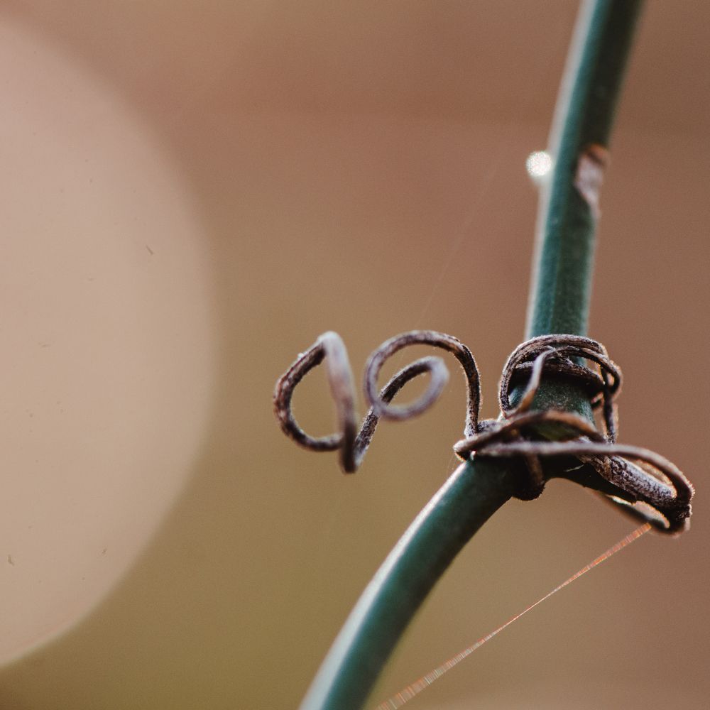 Photograph by Elias Deus