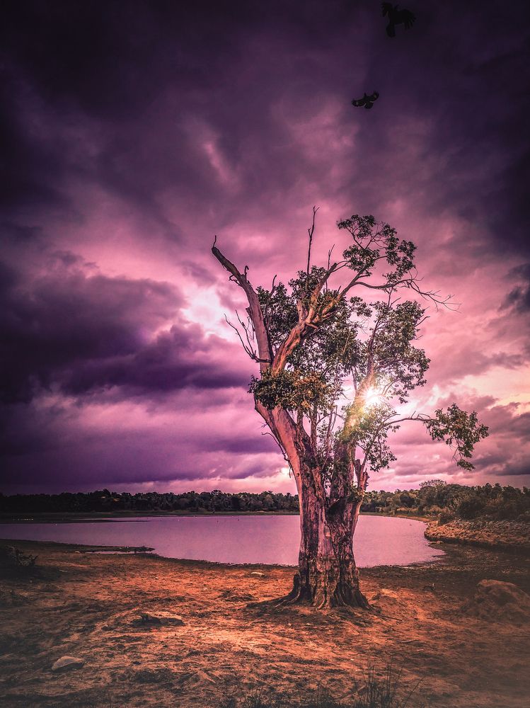 Photograph by Hewage K-vin R