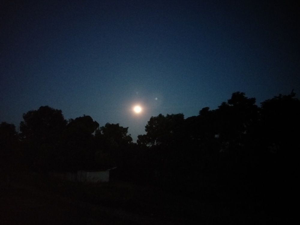 Photo #6519545