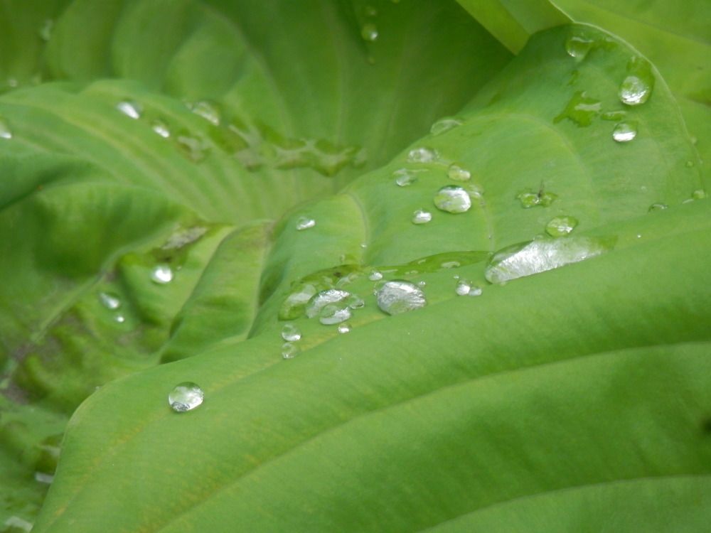 Photograph by Наталия Калюкина