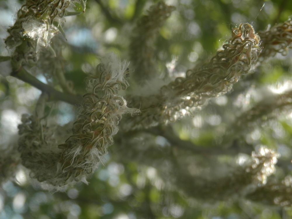 Photograph by Наталия Калюкина