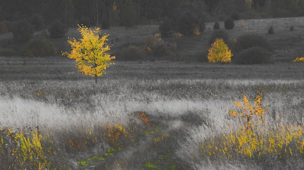 Photograph by Николай Путинцев