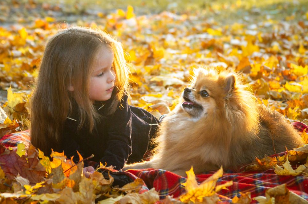 Photograph by Анна Малютина