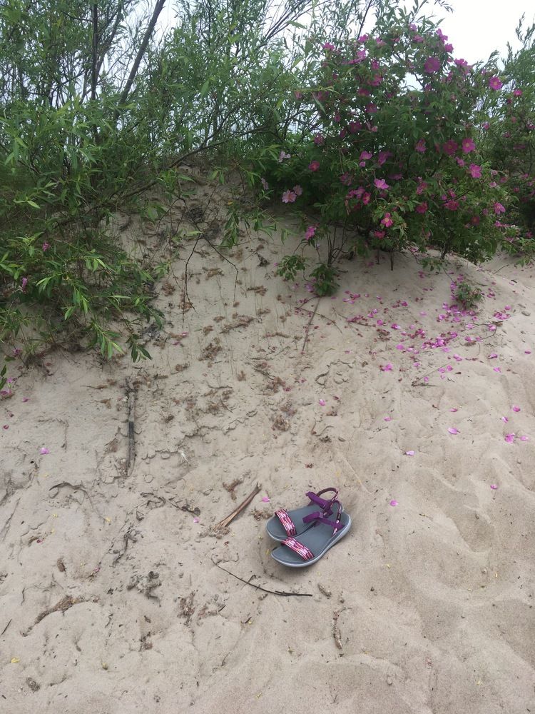 Photograph by Vladislavas Lavrinovicius