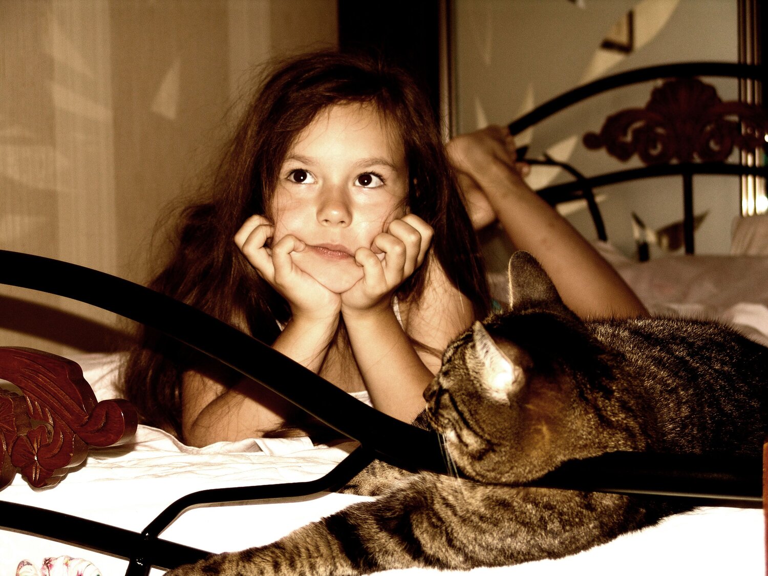 Photo #6519846