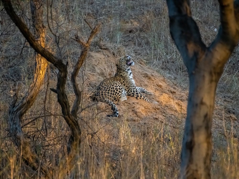 please leave me alone !!