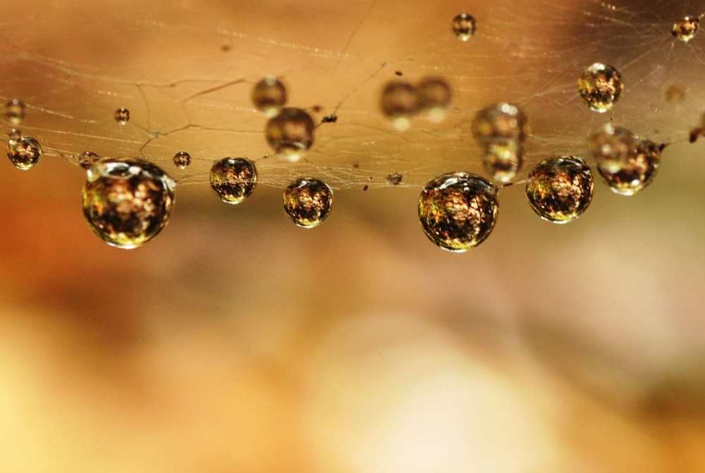 Photograph by Татьяна Дорошина