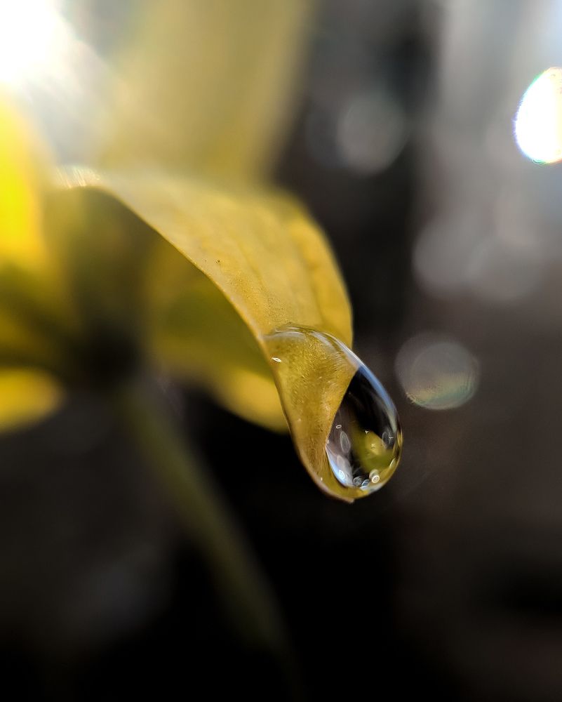 Photograph by Светлана Смирнова