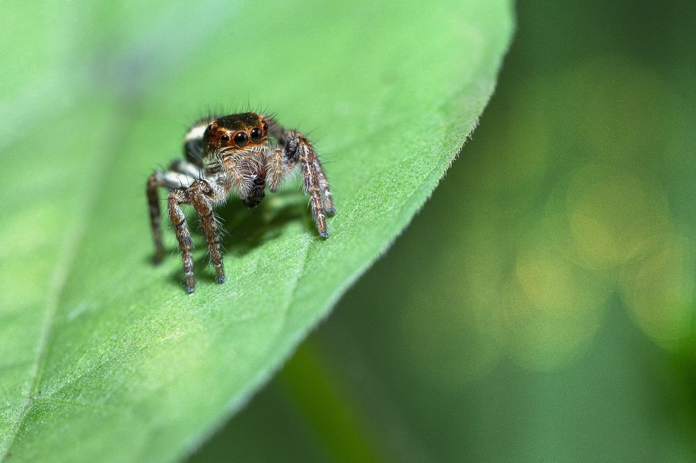 Photograph by Hemraj Chavhan A