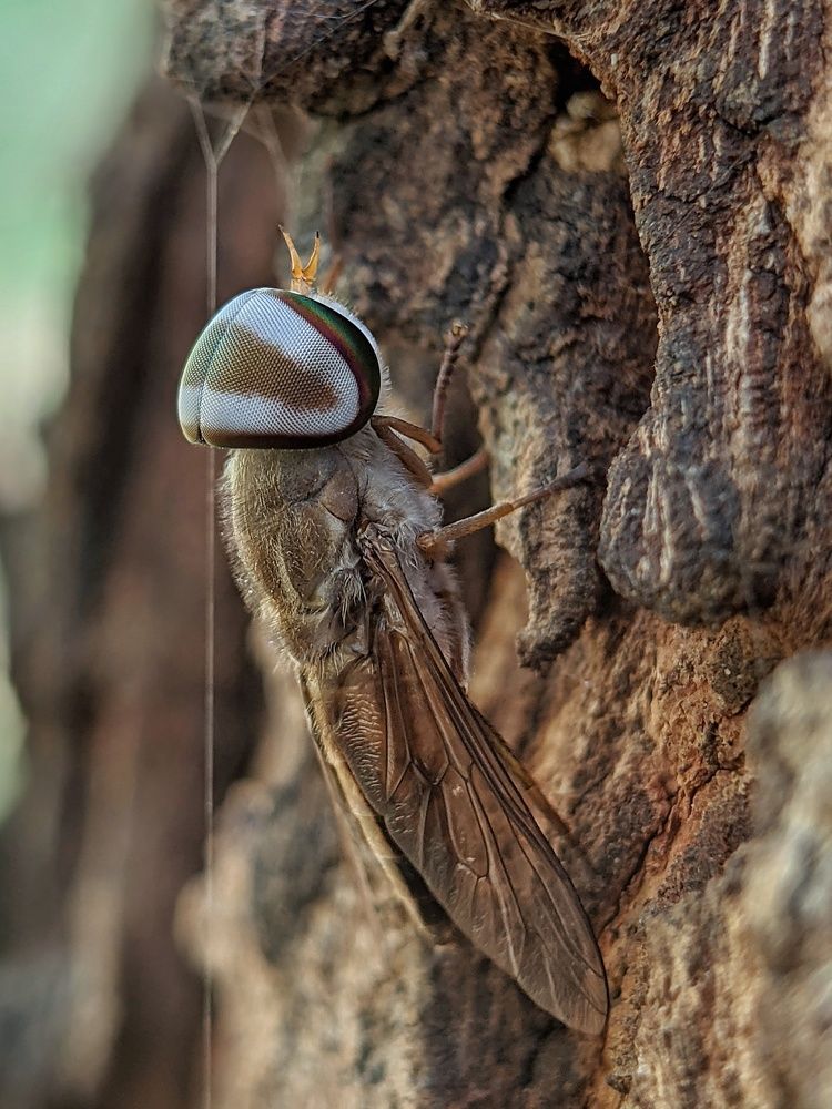 Photograph by Faiyal Ahmed