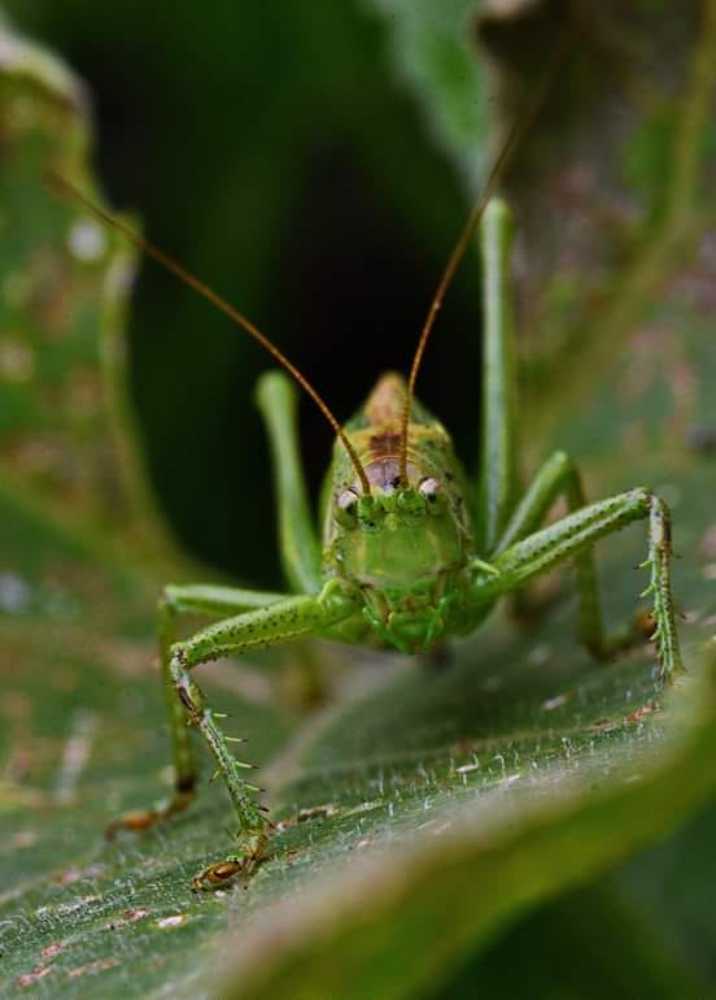 Фотография автора Александр Ракович