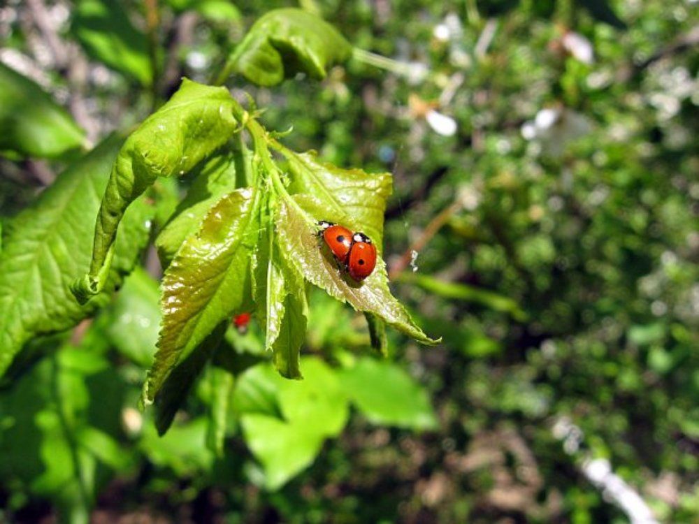 Photograph by Дарья Расшивина