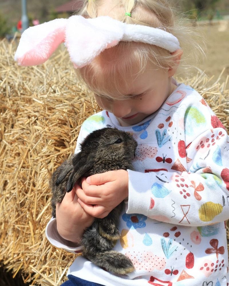 Photograph by Дарья Расшивина