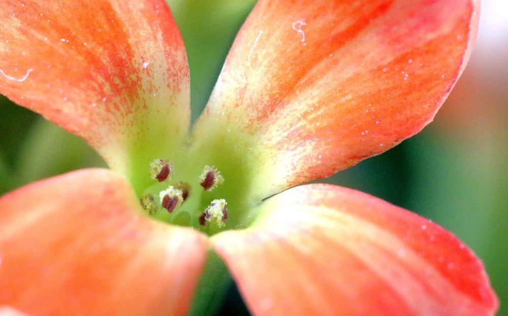 Photograph by Юрий Варюхин