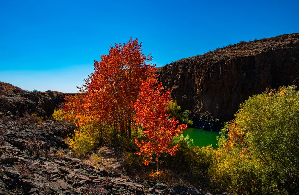Photograph by Елена Прохорова