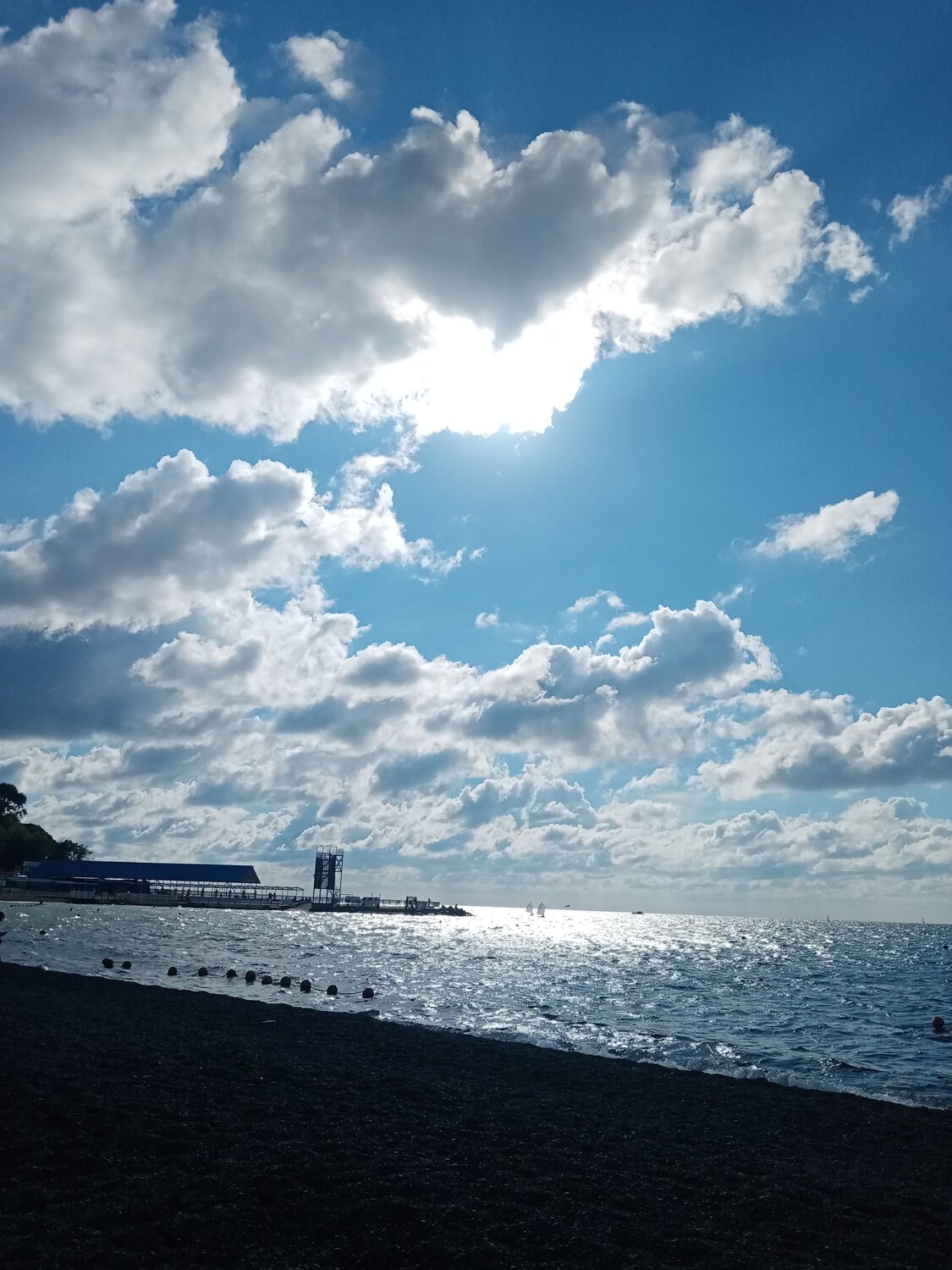 Photo #6520133