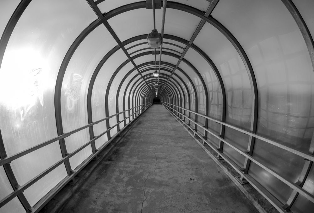 Photograph by Михаил Серебренников