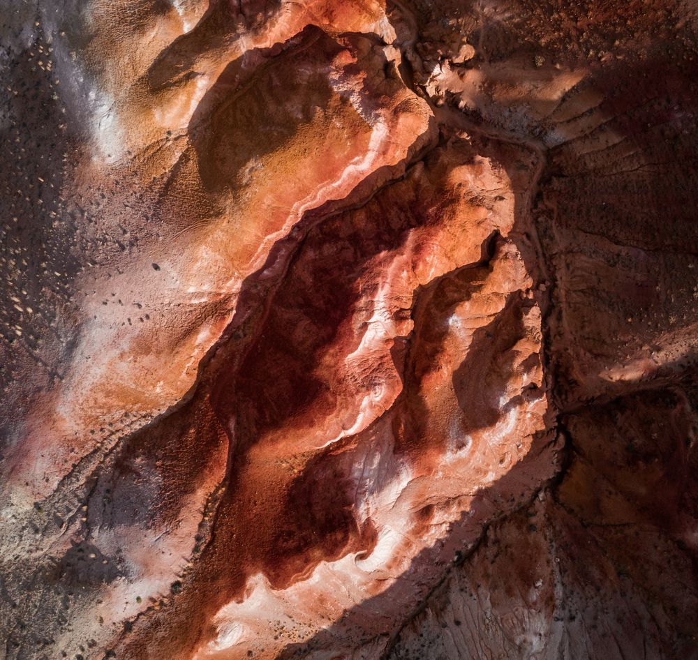 Фотография автора Филиппов Дмитрий