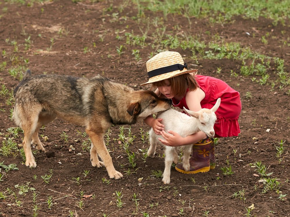 Photograph by Оксана Курочкина