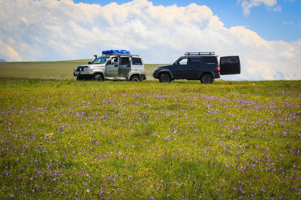 Фотография автора OXANA MARSOVA