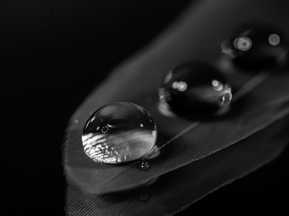 Photograph by Кристина Кудрявцева