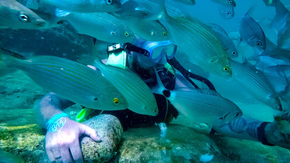 Фотография автора Владимир Строченков