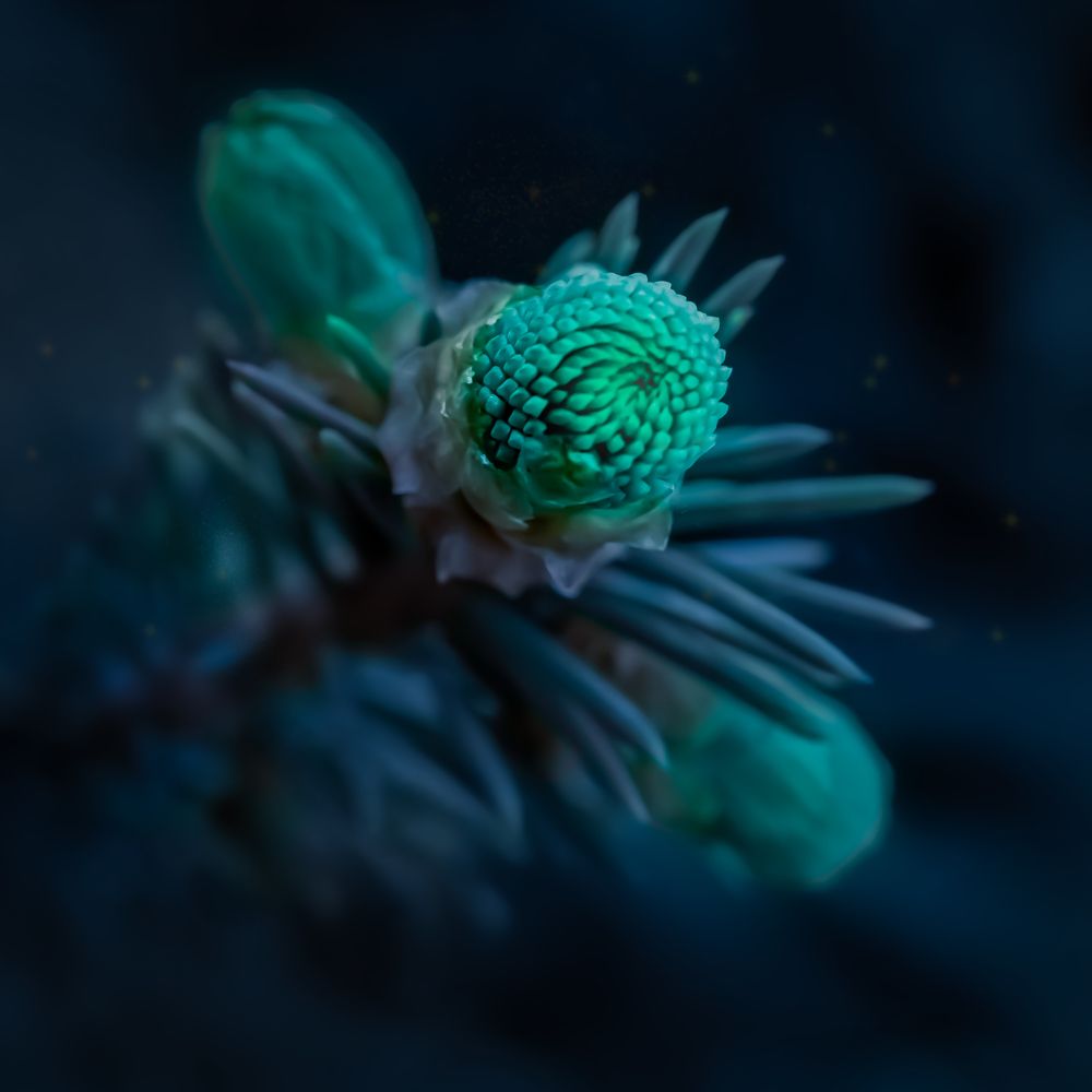 Photograph by Кристина Кудрявцева