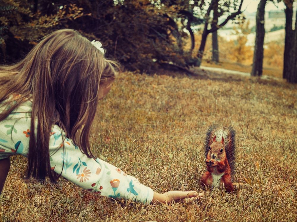 Photograph by Евгения Калугина