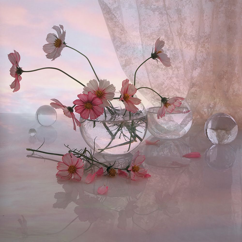 Летний вечер