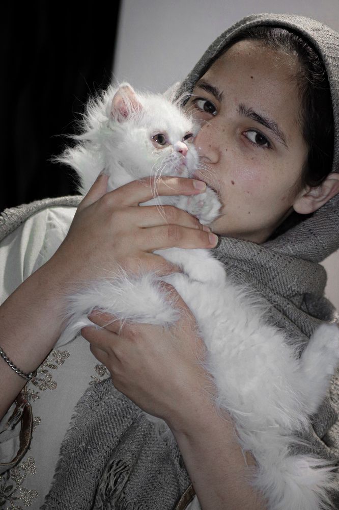 Фотография автора Basit nisar