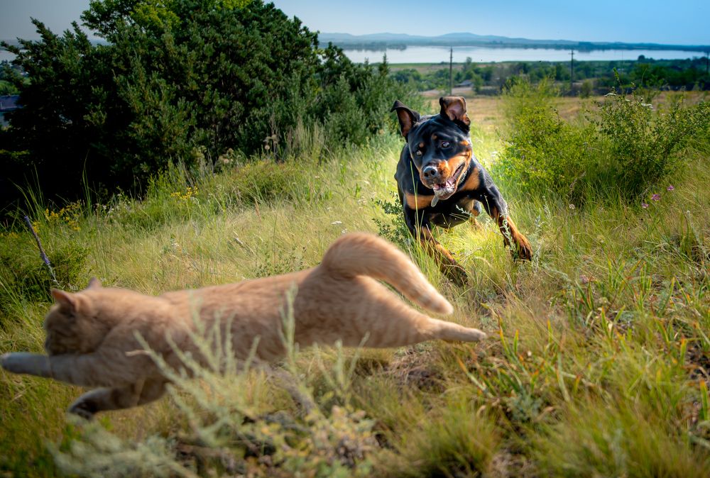 Photograph by Елена Прохорова